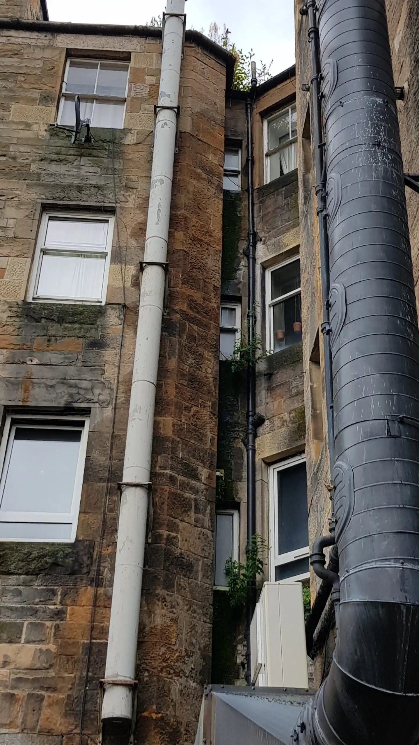 Gutter Cleaning